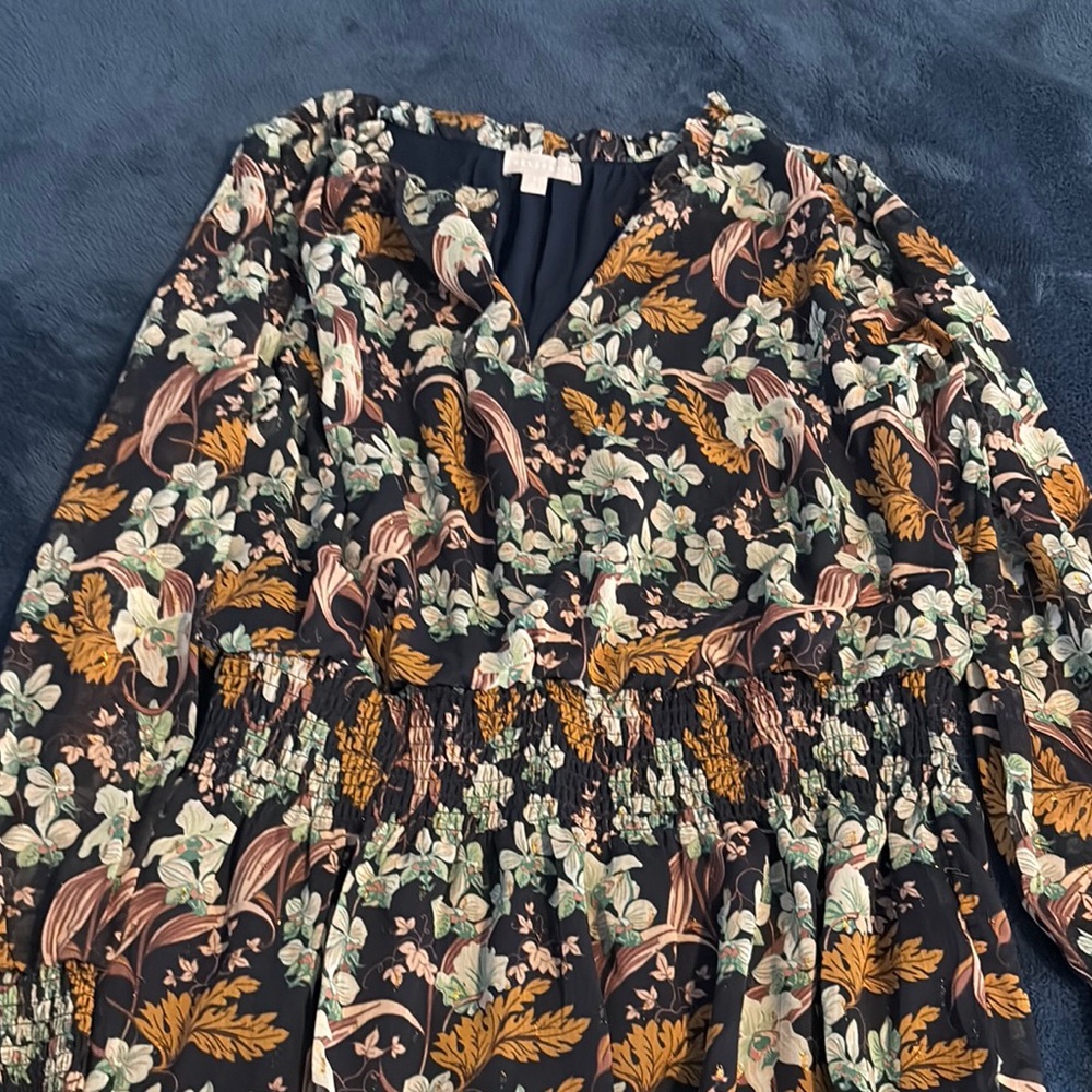 NWT Nordstrom Floral Long Sleeve Dress